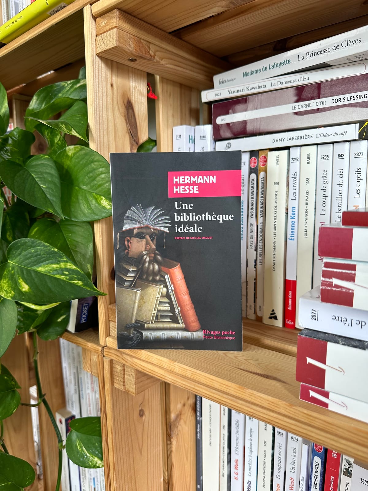 Une bibliothèque idéale – Herman Hesse (2010)